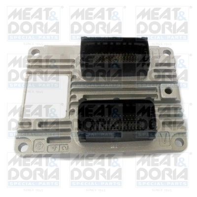 Control Unit, engine management
